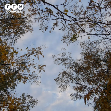 Anticipan tiempo húmedo, fresco por la mañana, una máxima de 22° | Córdoba
