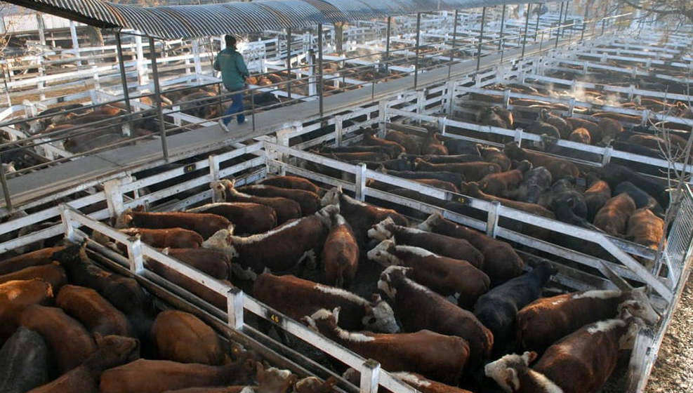 Comenzó el paro del campo por restricciones a las exportaciones de carne | Actualidad