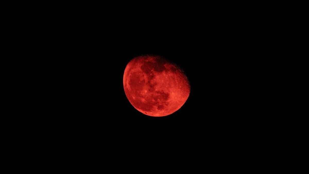 Cuándo y dónde podrá verse la "luna de sangre" en Argentina | Actualidad