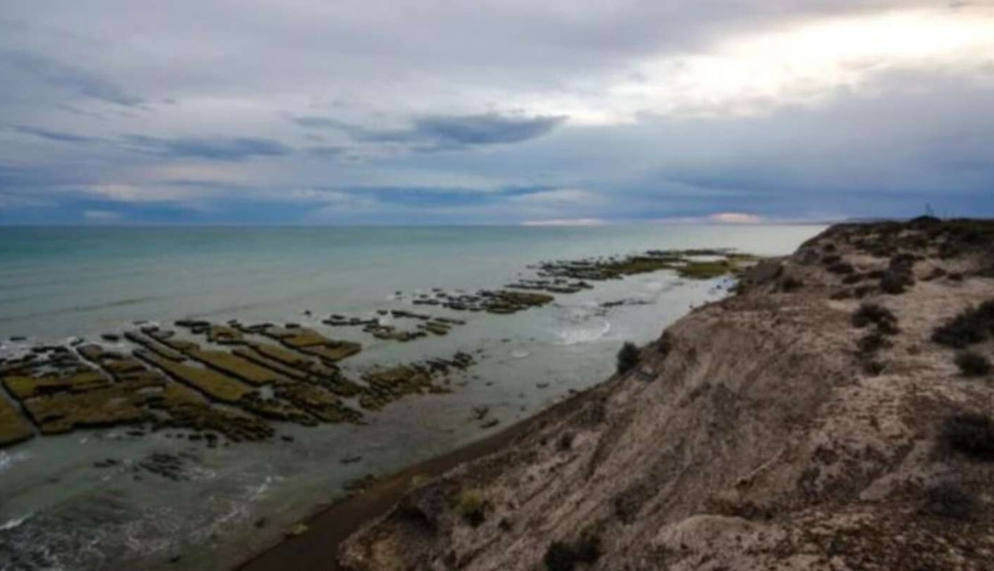 Hallaron muerto a un chico de 12 años e investigan si se relaciona con un desafío de las redes sociales | Actualidad