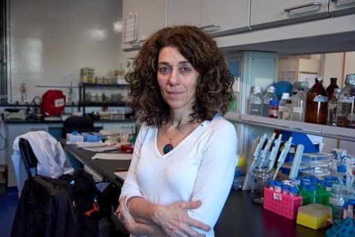 Una científica argentina fue incorporada a prestigiosa organización europea de biología molecular | Actualidad
