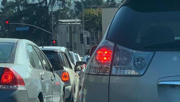 Muy difícil: encontrá al perro en el lugar menos pensado | Curiosidades