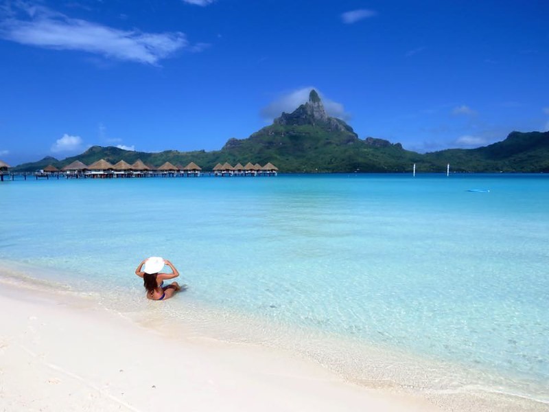 Querés viajar por el mundo y vivir gratis durante un año: Mirá cómo inscribirte | Curiosidades