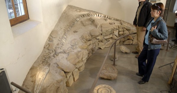 Robaron piezas arqueológicas de hasta 7.000 años de antigüedad del Museo de Malargüe | Actualidad