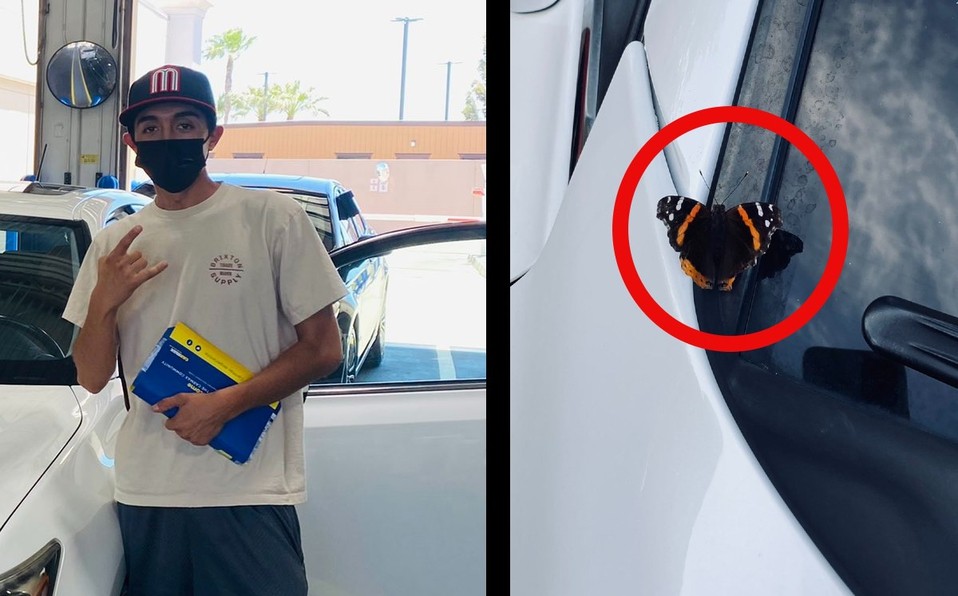 Compró su primer auto y asegura que su mamá muerta se le apareció en forma de mariposa | Internacionales