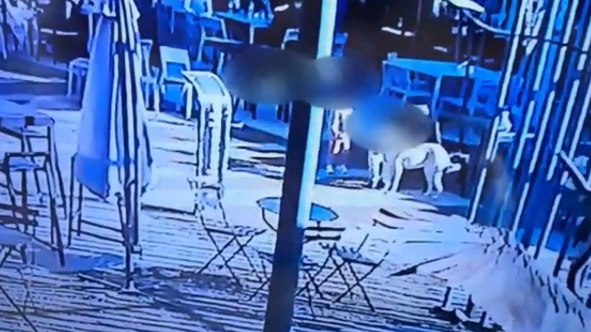 Mató de una patada a un perro y dijo que había querido atacar a la hija | Córdoba