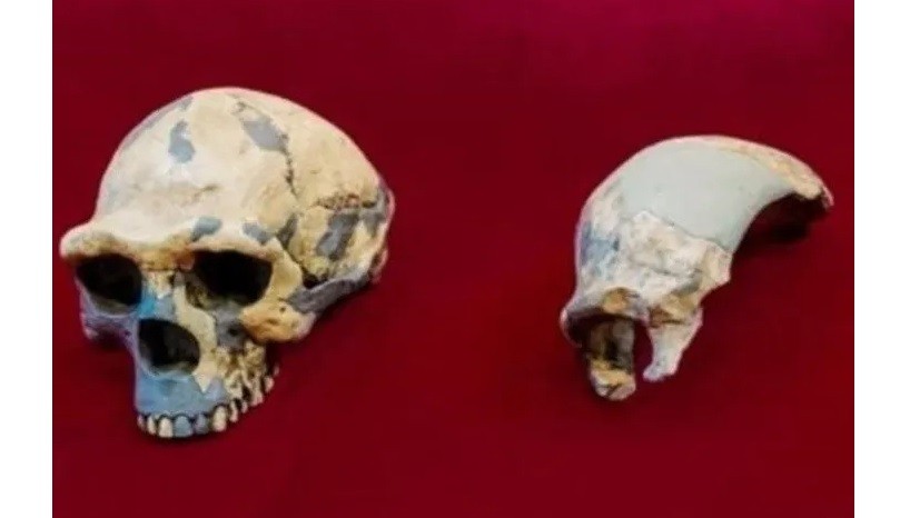 "Hombre Dragón": científicos dicen que nueva especie humana es nuestro antepasado más cercano | Internacionales