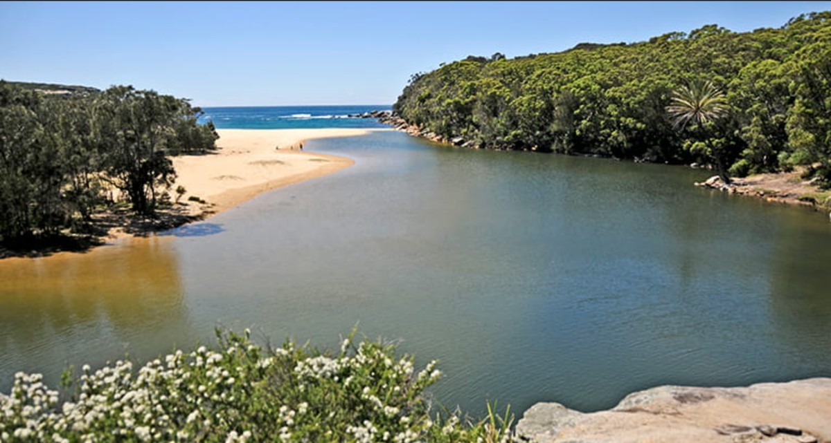 Rescataron a nudistas que se asustaron con un ciervo y se perdieron en un bosque | Internacionales