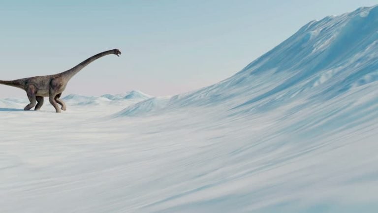 Los dinosaurios fueron víctimas del frío antes del impacto del meteorito, según un estudio | Curiosidades