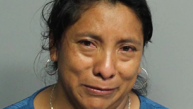 Murió una nena de 2 años que estuvo 7 horas encerrada en un auto: su niñera se la olvidó al bajar | Internacionales