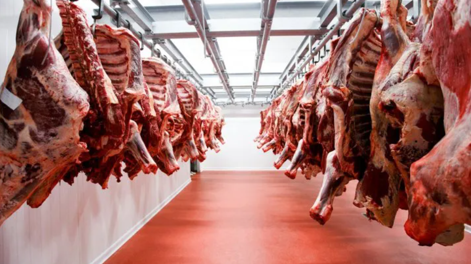 Lanzan créditos por $10.000 millones para incentivar la producción de carne | Actualidad