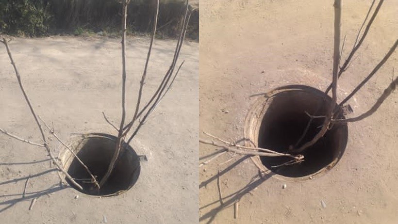 Un nene de 8 años tropezó con una alcantarilla sin tapa y una rama le perforó varios órganos | Actualidad