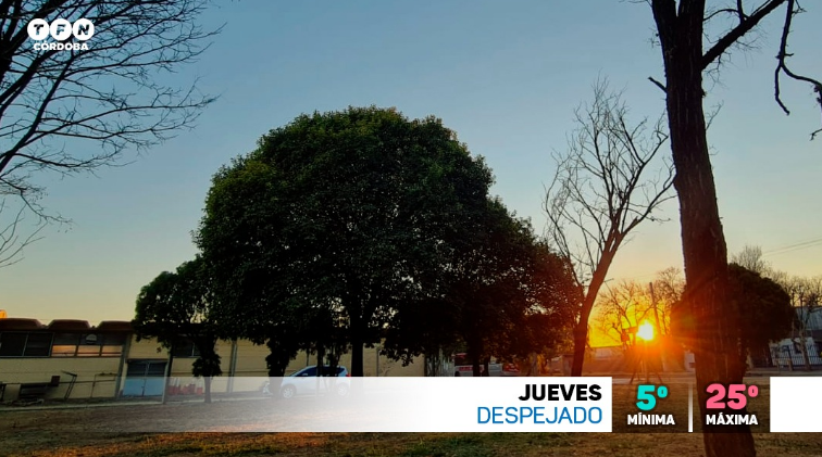 Buen tiempo, ascenso de temperatura, máxima de 25° | Córdoba