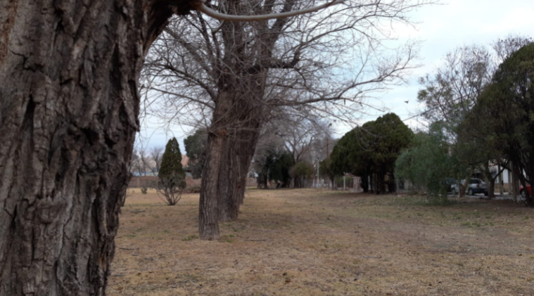 Volvió el frío; mínima de 5°, cielo cubierto y probables lloviznas | Córdoba