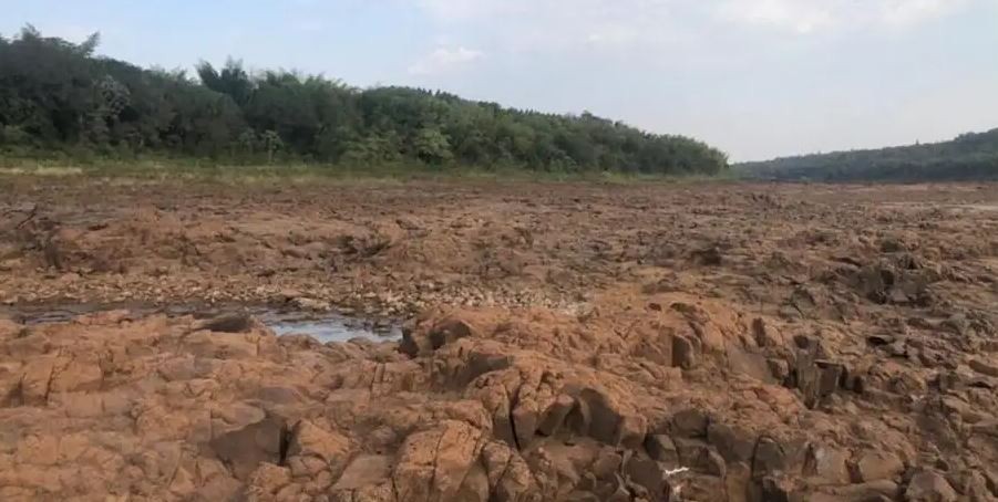 Por la bajante del Paraná, se puede cruzar caminando de Argentina a Paraguay | Actualidad