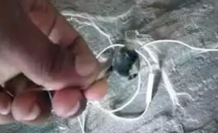 Murió un hombre al explotarle los auriculares bluetooth que llevaba puestos | Internacionales