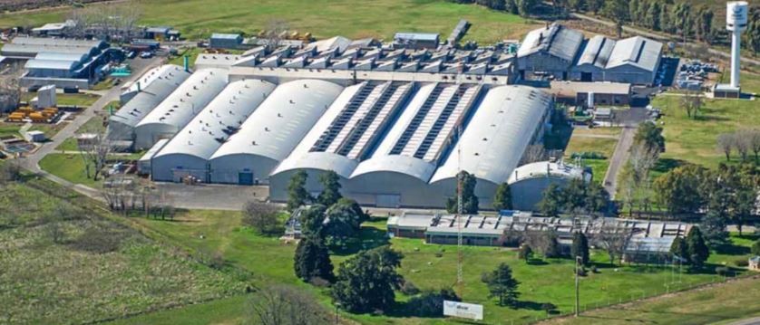 Proponen un “modelo prejubilatorio” para resolver los problemas de la vuelta a la presencialidad laboral | Actualidad