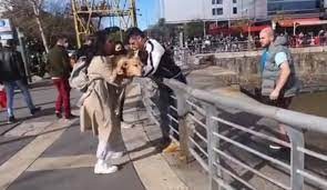 Videos: Cristian U salvó a un perro que cayó a un dique de Puerto Madero | Actualidad