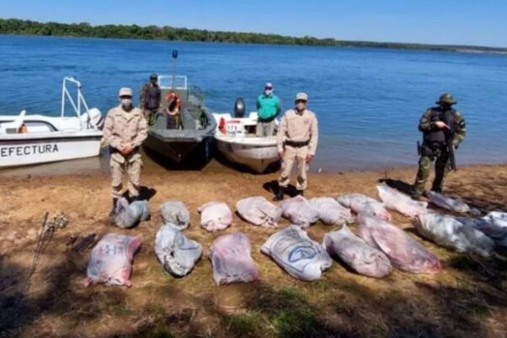Atraparon a un cazador furtivo con 700 kilos de carne de carpinchos faneados | Actualidad