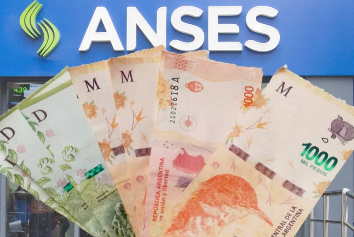 IFE 4 de ANSES: ¿Cómo tener los datos actualizados para ser beneficiado en el caso de que se otorgue? | Actualidad