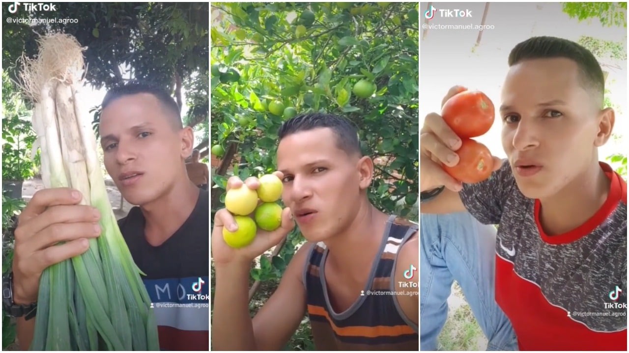 Video: conocé al tiktoker que se hizo viral cosechando en casa | Redes