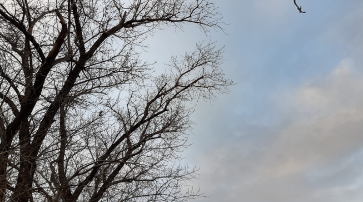 Tiempo húmedo e inestable, con cielo cubierto | Córdoba