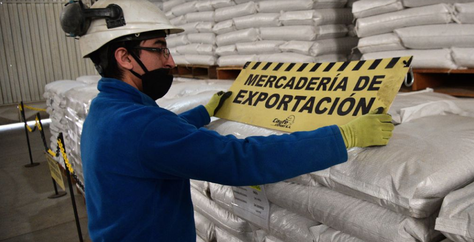 Legumbres cordobesas: en cinco años se cuadruplicó la exportación de estas “specialitys” | Córdoba