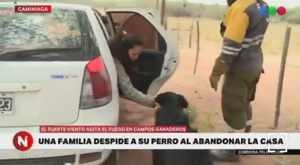 Video: El desgarrador momento en que una familia se despide de su perro entre el fuego | Córdoba
