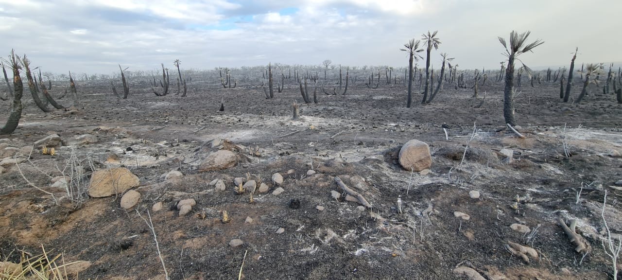 Incendios en el norte, aseguran que todos los focos están controlados | Córdoba