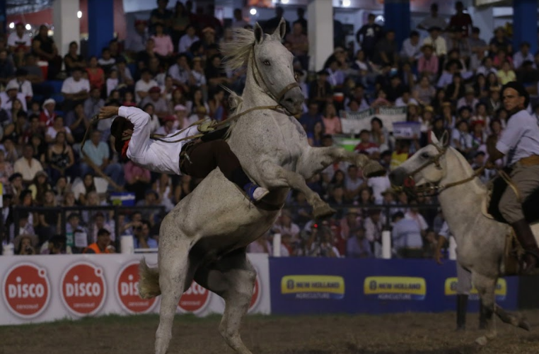 Confirmaron la realización del Festival Nacional de Doma y Folklore de Jesús María | Córdoba