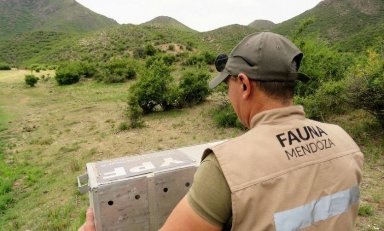 Excluyen a cinco guardaparques por copiarse en un concurso público | Actualidad