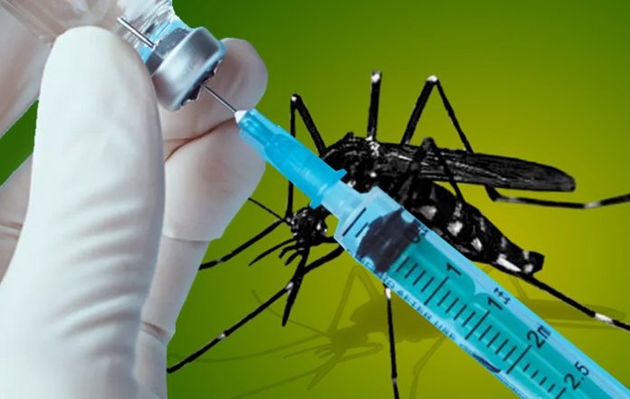 Vacuna contra el dengue: su eficacia y tiempo de protección | Actualidad