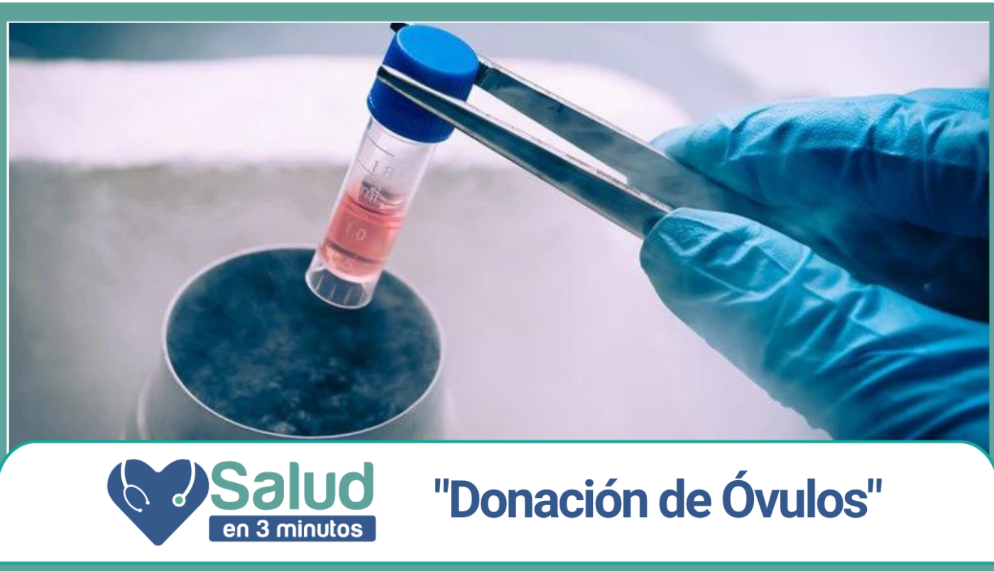 Ovodonación: una técnica cada vez más requerida | Salud