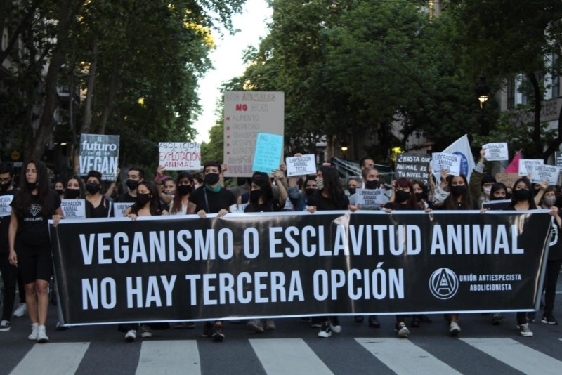 Veganos marcharon para visibilizar "la explotación que siguen padeciendo los animales" | Actualidad