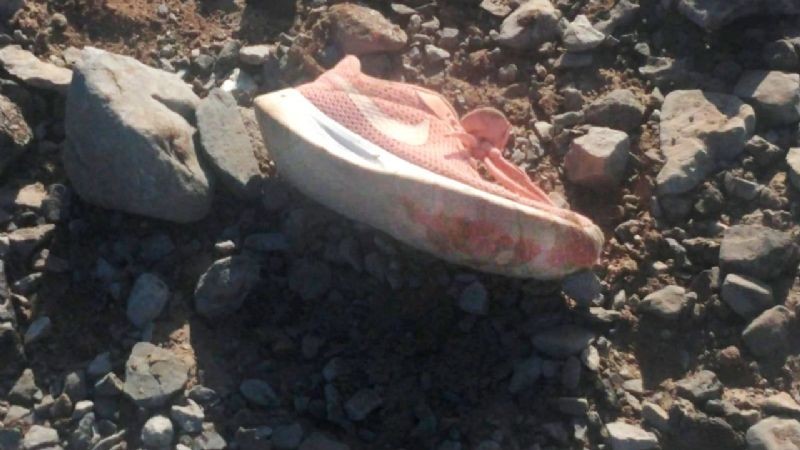 Cómo era el descampado en el que una jauría de perros atacó a una chica en San Juan | Actualidad