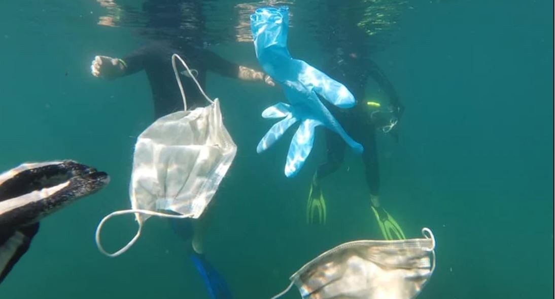 ¿Por qué hay que cortar las gomas de los barbijos antes de tirarlos? | Curiosidades