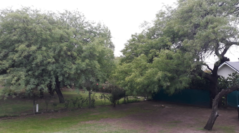 Frente frío, alerta por fuertes vientos, máxima 21° | Córdoba