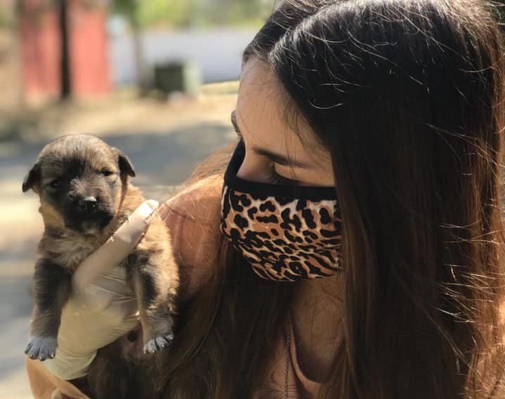 Un donante misterioso salvó una fundación de mascotas que estaba por cerrar | Actualidad