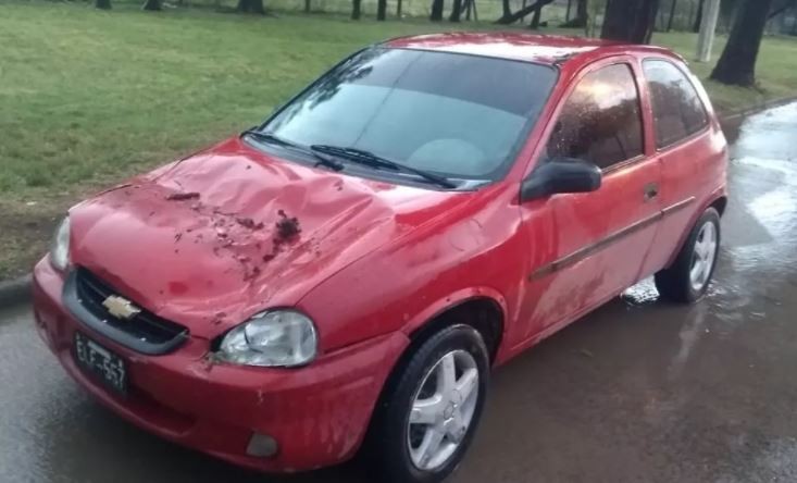 Tormenta, intensa lluvia y destrozos en Coronel Moldes | Córdoba