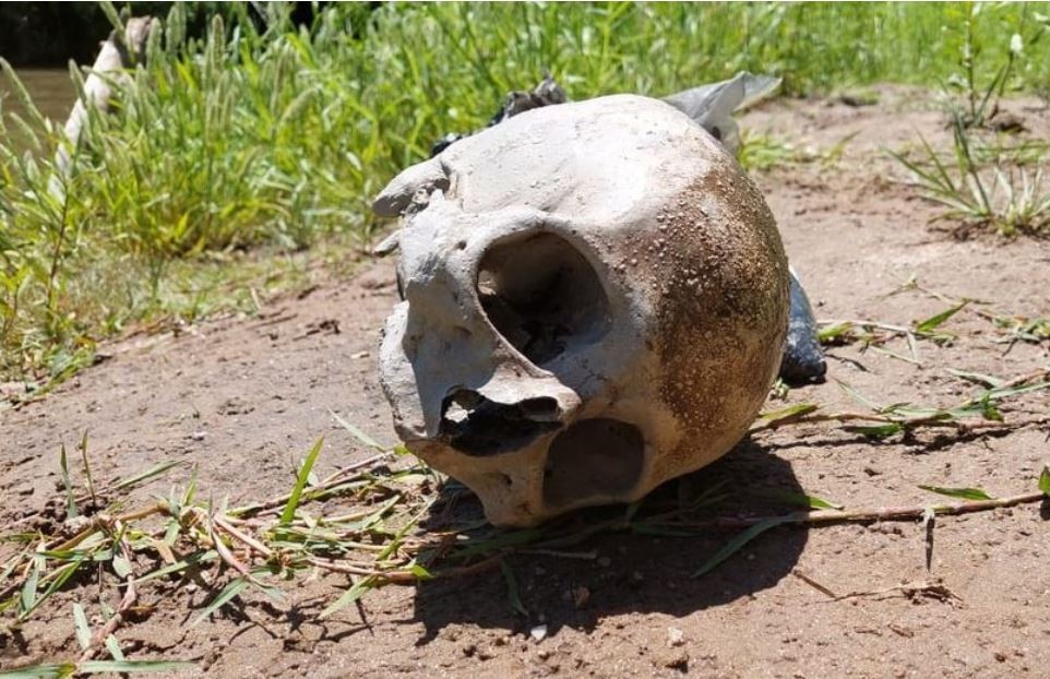 Misterio en Villa María: Encontraron un cráneo a la vera del río | Córdoba
