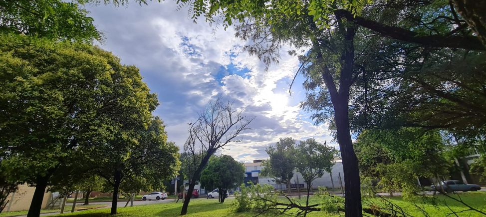Caluroso, viento norte, inestabilidad, máxima 32° | Córdoba