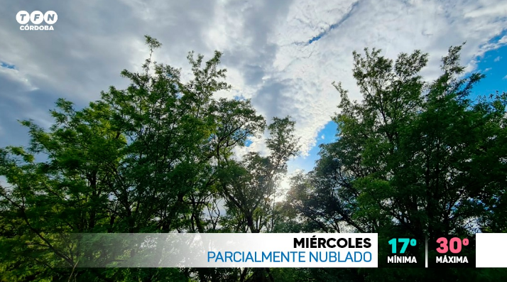 Cálido y húmedo, probables lluvias, máxima 30° | Córdoba