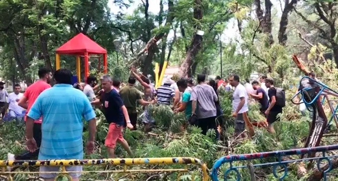 Cayó un árbol sobre el sector de juegos de un parque tucumano: dos nenes heridos | Actualidad