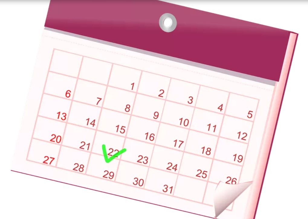 Cuáles son todos los feriados previstos para este 2022 | Actualidad