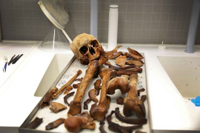 Crean biblioteca de huesos humanos que ayuda a resolver casos forenses | Actualidad