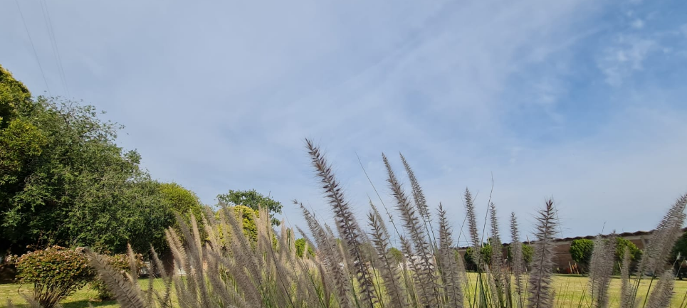 Buen tiempo, tarde cálida, máxima 33° | Córdoba