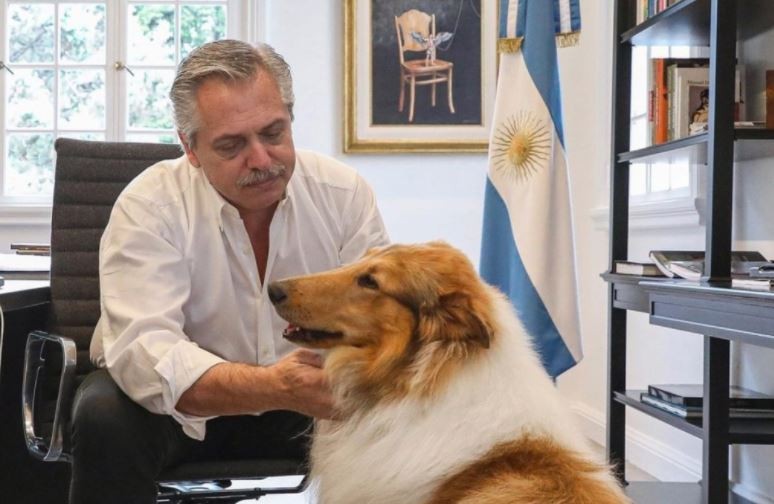 Alberto Fernández saludó a Dylan por su cumpleaños: "Feliz cumple al más compañero" | Actualidad