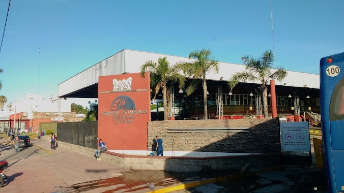 Tigre: detienen a 7 personas por comercializar PCR falsificados junto a pasajes de micro | Actualidad