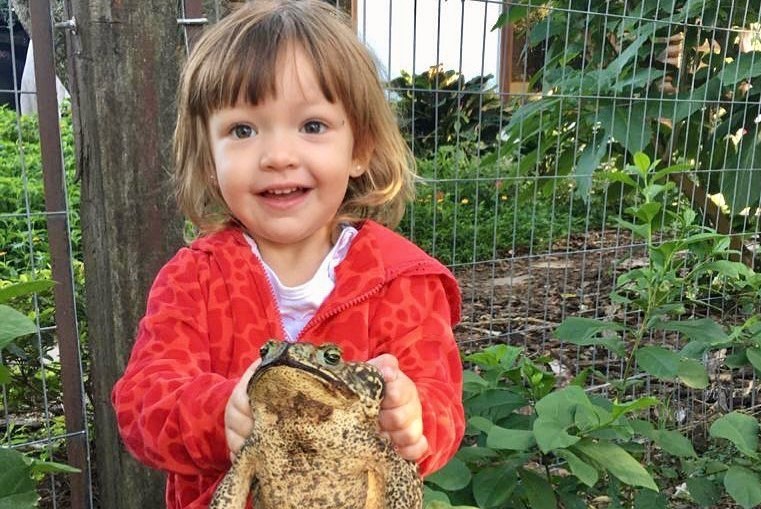 Jazmín, la princesa de los sapos: tiene 3 años y se hizo viral con sus mascotas | Actualidad