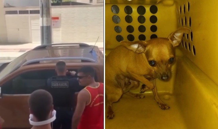 Detuvieron a un argentino en Camboribú por dejar a su perro encerrado cuatro horas en la camioneta | Actualidad